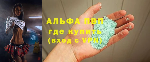 шишки Беломорск