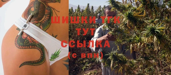 стаф Белокуриха